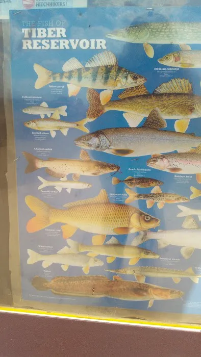 North Bootlegger Campground Picture 9