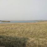 Willow Creek Campground