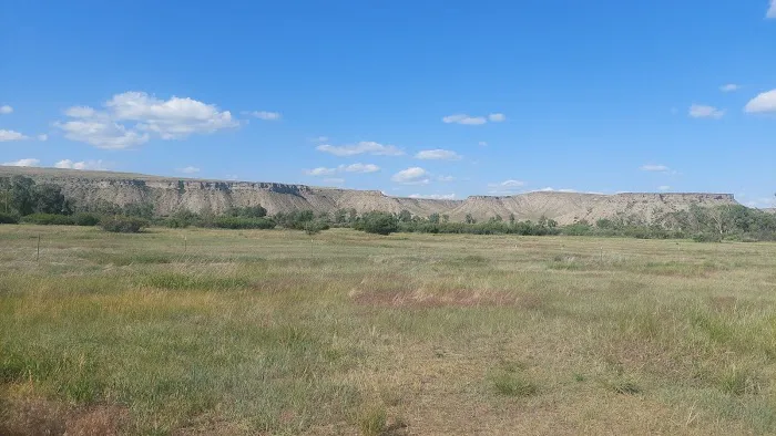 Lowry Bridge Campground Picture 3