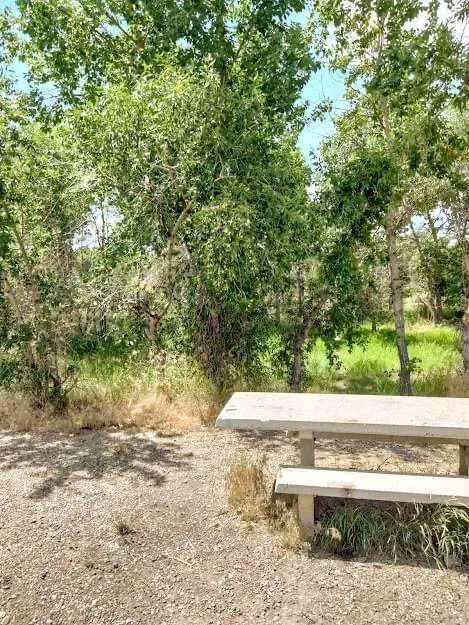 Lowry Bridge Campground Picture 10