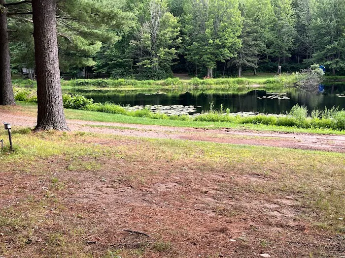 Maple Bear Campground LLC Picture 6