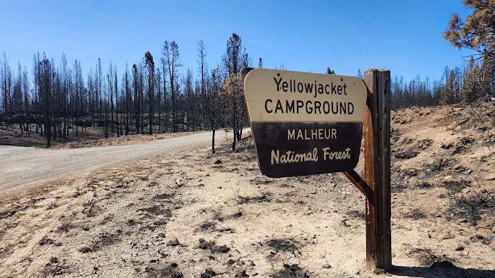 Yellowjacket Campground Picture 3