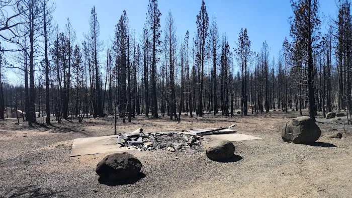 Yellowjacket Campground Picture 1