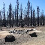 Yellowjacket Campground