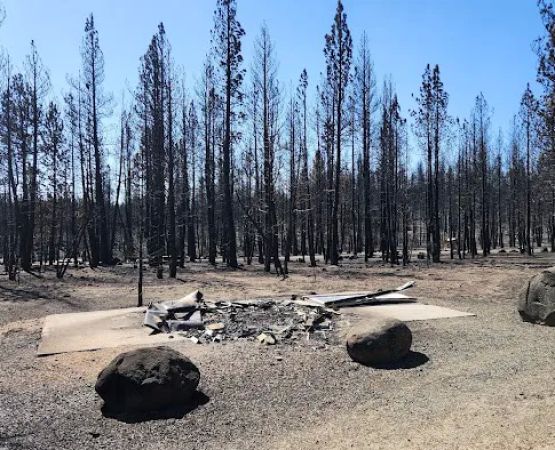 Yellowjacket Campground