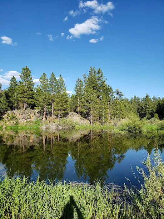 Yellowjacket Campground Picture 5