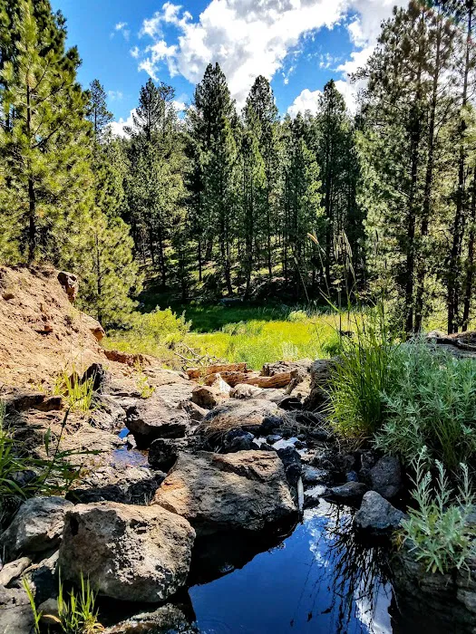 Yellowjacket Campground Picture 10