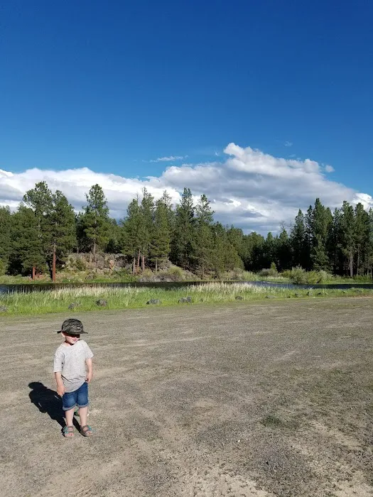 Yellowjacket Campground Picture 4