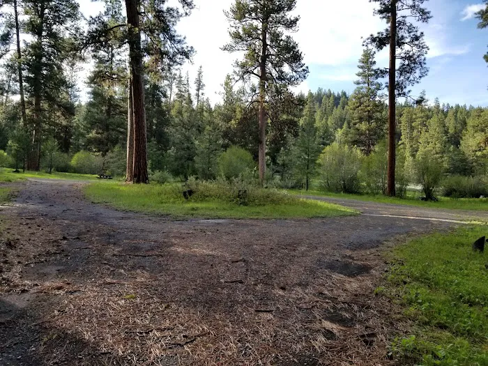 Emigrant Campground Picture 1