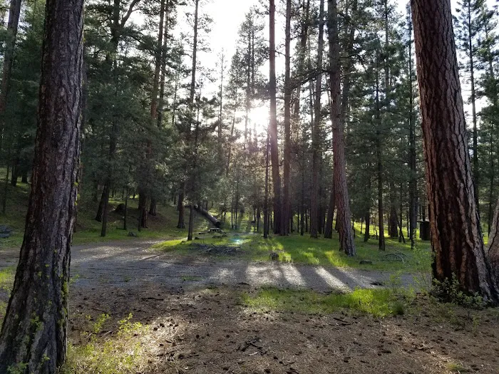 Emigrant Campground Picture 6