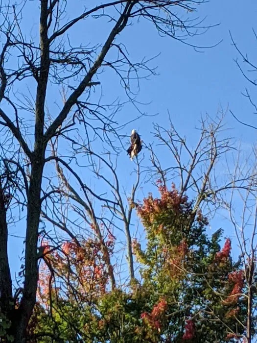 Northport Condo Campground Picture 10