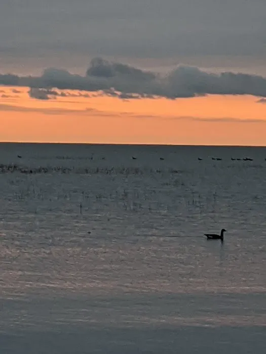 Northport Condo Campground Picture 8