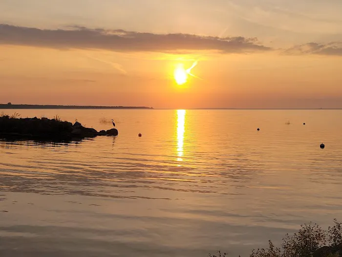 Northport Condo Campground Picture 2