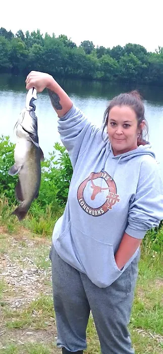 WRC Gamelands Platform Picture 1