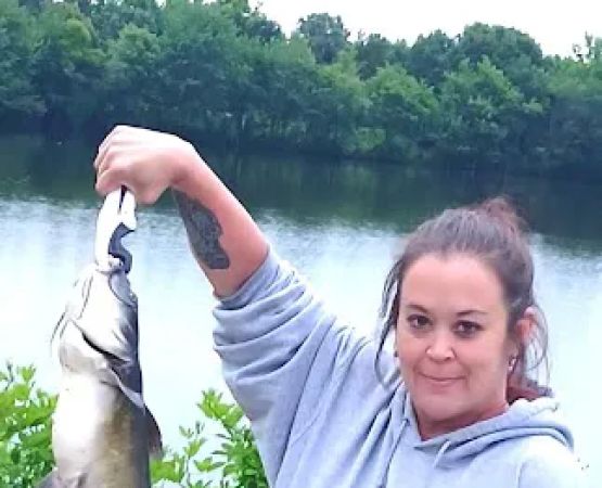 WRC Gamelands Platform