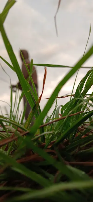 WRC Gamelands Platform Picture 8