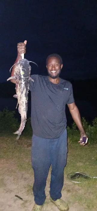 WRC Gamelands Platform Picture 6