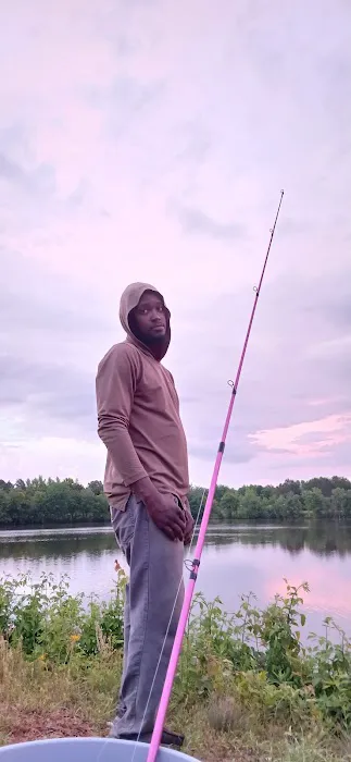 WRC Gamelands Platform Picture 5