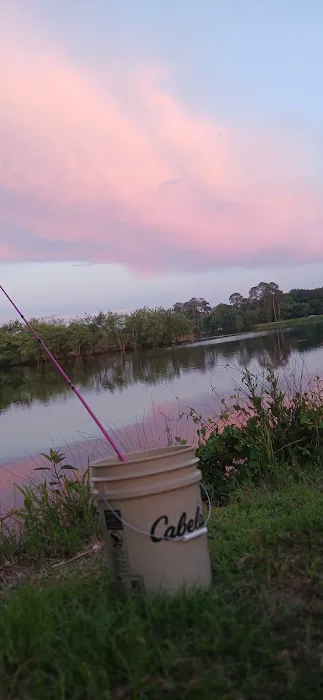 WRC Gamelands Platform Picture 2