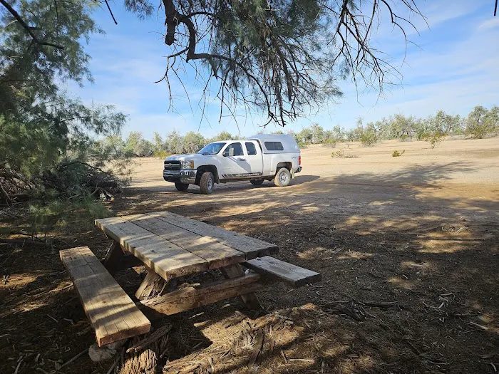 Tamarisk Long Term Visitor Area Picture 3
