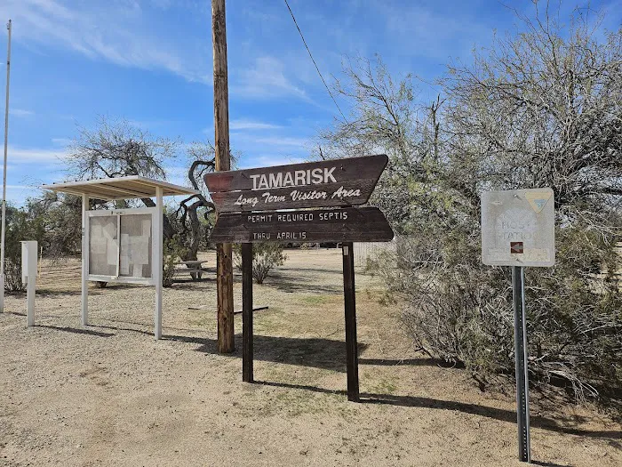 Tamarisk Long Term Visitor Area Picture 2