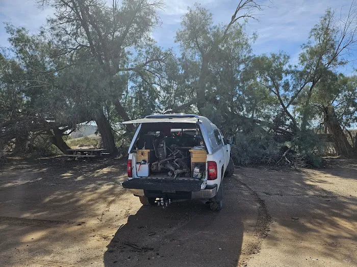 Tamarisk Long Term Visitor Area Picture 1
