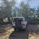 Tamarisk Long Term Visitor Area