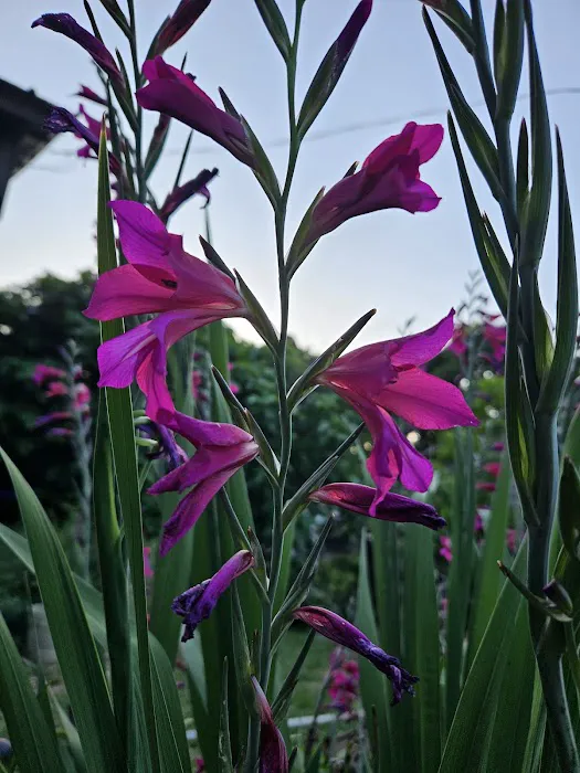 PLANTAE Private Loft & Gardens Picture 1