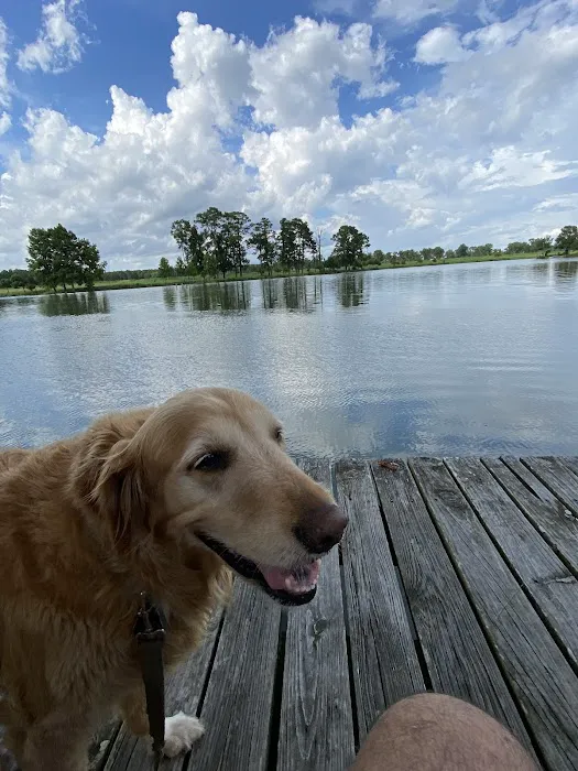 Lake Felix Rv Park Picture 1