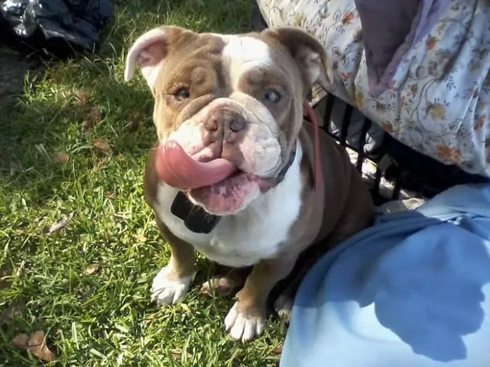 Shady Shores RV Park Picture 3