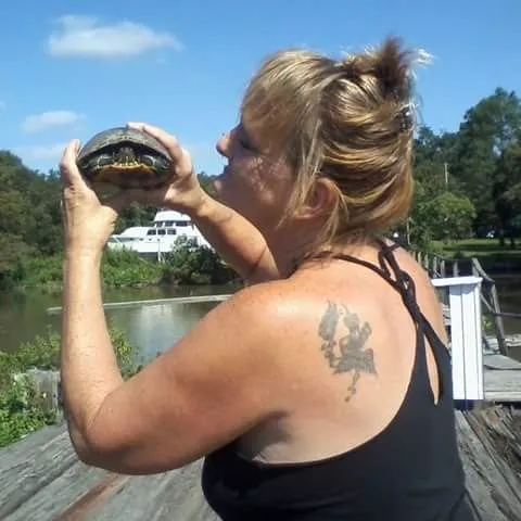 Shady Shores RV Park Picture 2