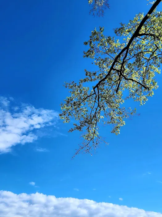 US Forest Service Picture 3