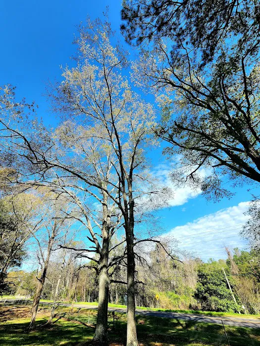 US Forest Service Picture 2