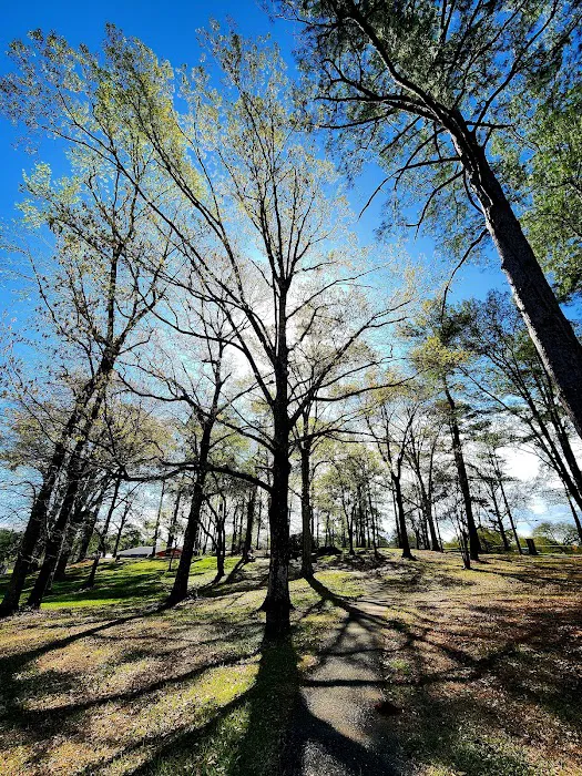 US Forest Service Picture 10