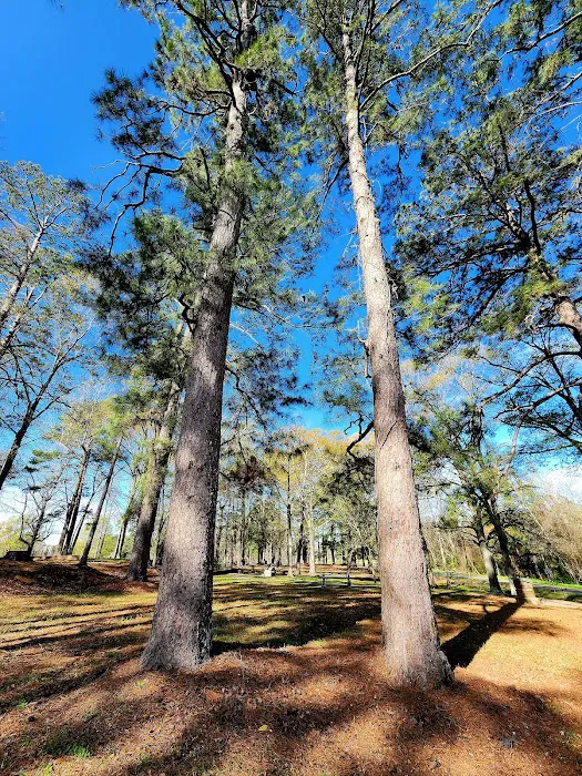 US Forest Service Picture 5