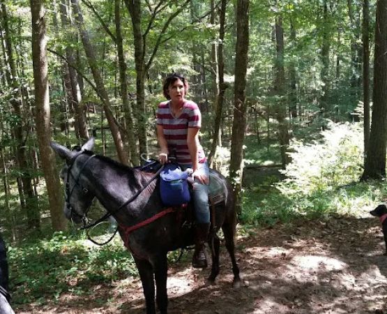 Stuart Lake Campground