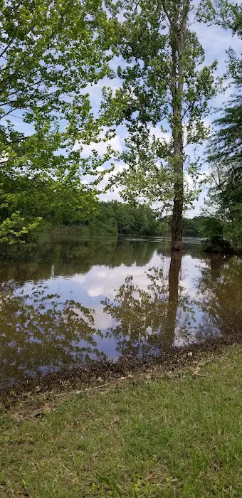 Brad's Old Ferry Landing Campground & RV Park Picture 3