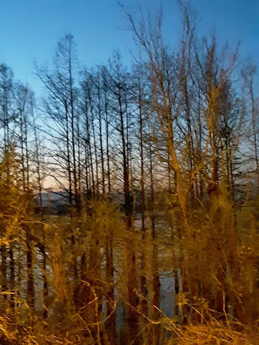 Turkey Creek Park Picture 6