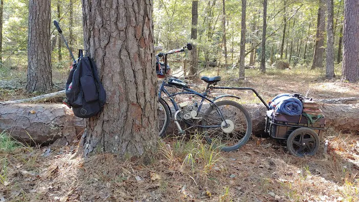Saddle Bayou Primitive Campground Picture 3