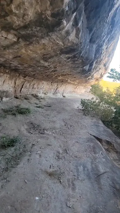 Cedar Bluff Picture 5