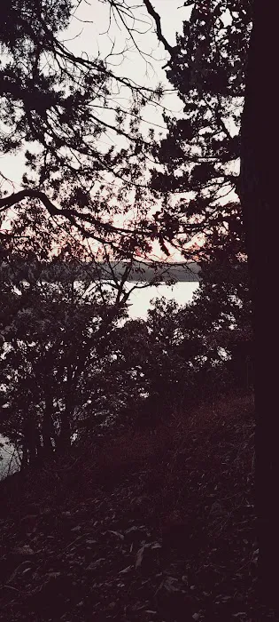 Cedar Bluff Picture 9