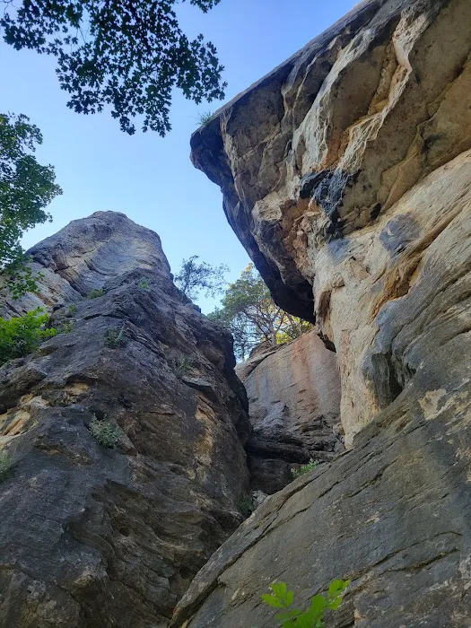 Cedar Bluff Picture 3