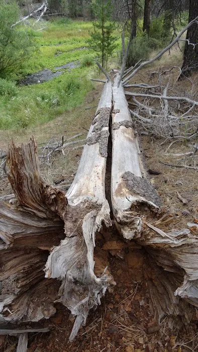 Head of the River Campground Picture 9