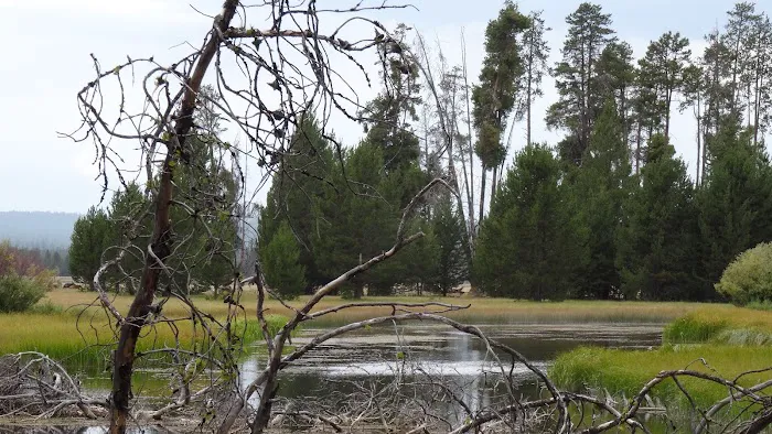 Head of the River Campground Picture 7