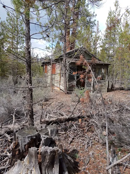 Head of the River Campground Picture 10