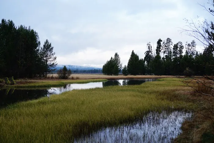 Head of the River Campground Picture 1