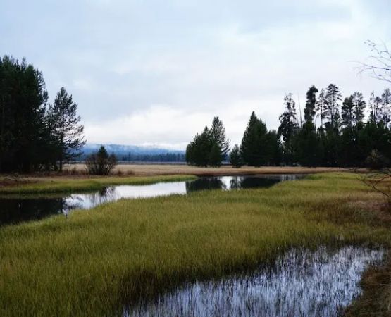 Head of the River Campground