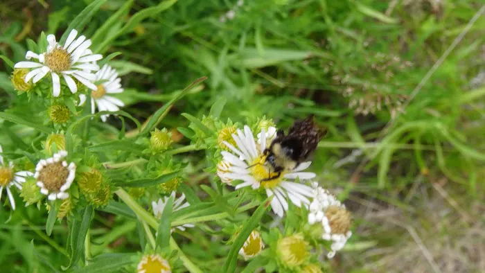 Head of the River Campground Picture 4