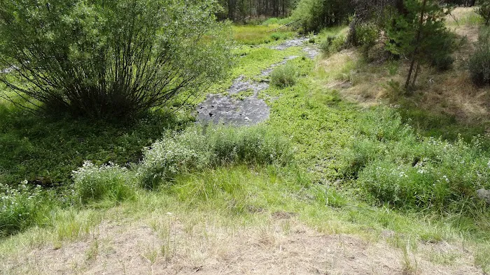 Head of the River Campground Picture 5