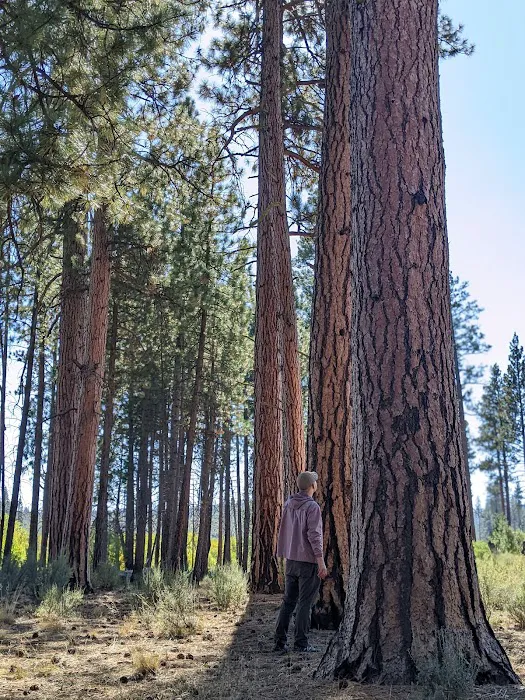 Silver Creek Marsh Developed Campground Picture 1